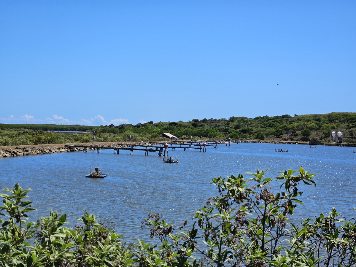 Installations aquacoles intégrées à un milieu littoral