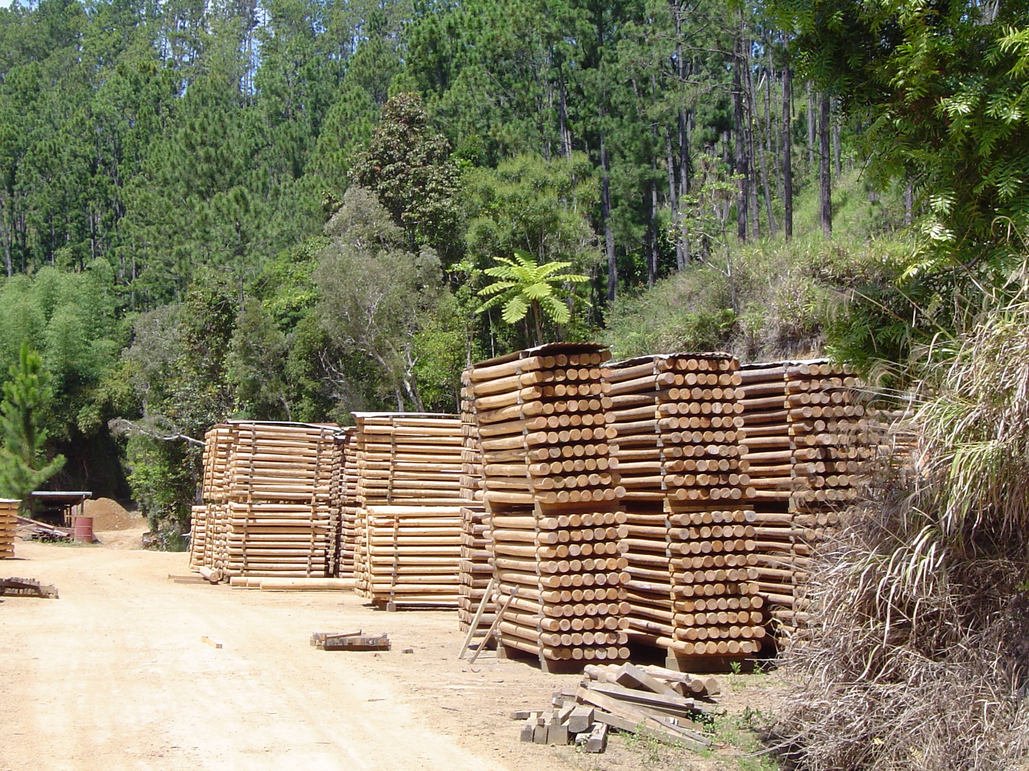 Stockage de bois au sein d'un espace forestier