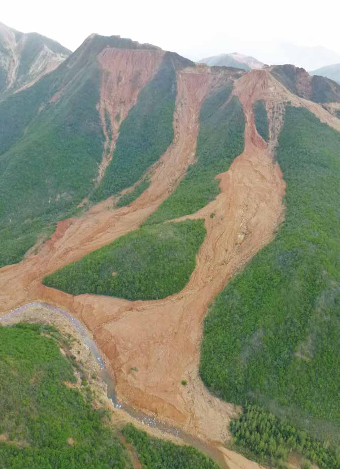 Érosion et glissements sur un relief végétalisé